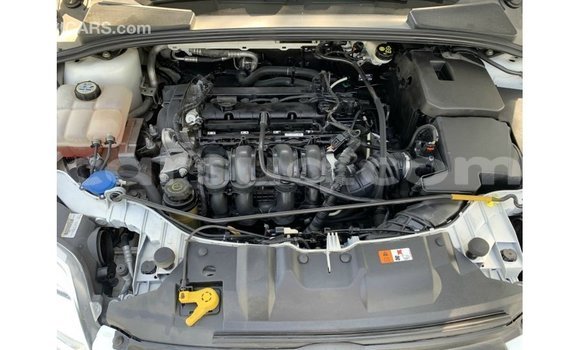 Acheter Import Voiture Ford Focus Blanc à Import - Dubai, Barh el Gazel Acheter Import Voiture Ford Focus Blanc à Import - Dubai, Barh el Gazel