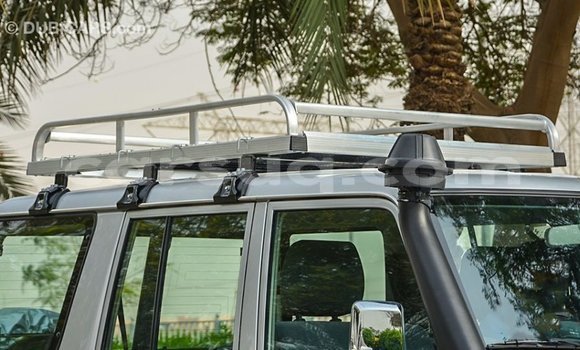 Acheter Import Voiture Toyota Land Cruiser Autre à Import - Dubai, Barh el Gazel Acheter Import Voiture Toyota Land Cruiser Autre à Import - Dubai, Barh el Gazel