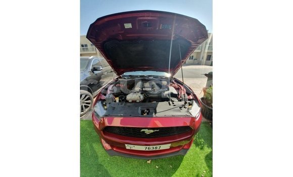 Acheter Import Voiture Ford Mustang Rouge à Import - Dubai, Barh el Gazel Acheter Import Voiture Ford Mustang Rouge à Import - Dubai, Barh el Gazel
