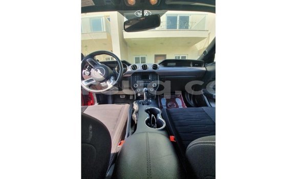 Acheter Import Voiture Ford Mustang Rouge à Import - Dubai, Barh el Gazel Acheter Import Voiture Ford Mustang Rouge à Import - Dubai, Barh el Gazel