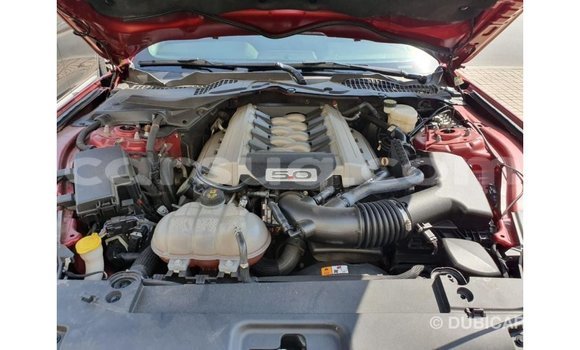 Acheter Import Voiture Ford Mustang Rouge à Import - Dubai, Barh el Gazel Acheter Import Voiture Ford Mustang Rouge à Import - Dubai, Barh el Gazel