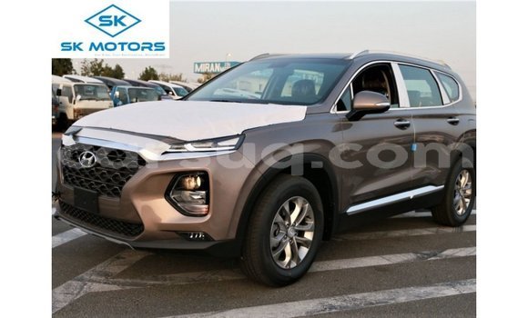 Acheter Import Voiture Hyundai Santa Fe Marron à Import - Dubai, Barh el Gazel