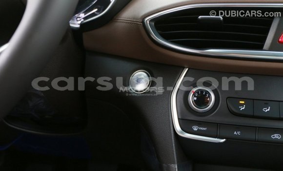 Acheter Import Voiture Hyundai Santa Fe Marron à Import - Dubai, Barh el Gazel Acheter Import Voiture Hyundai Santa Fe Marron à Import - Dubai, Barh el Gazel