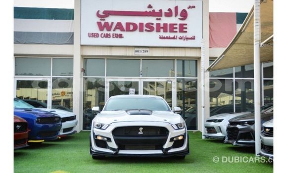Acheter Import Voiture Ford Mustang Blanc à Import - Dubai, Barh el Gazel Acheter Import Voiture Ford Mustang Blanc à Import - Dubai, Barh el Gazel