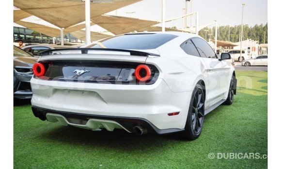 Acheter Import Voiture Ford Mustang Blanc à Import - Dubai, Barh el Gazel Acheter Import Voiture Ford Mustang Blanc à Import - Dubai, Barh el Gazel