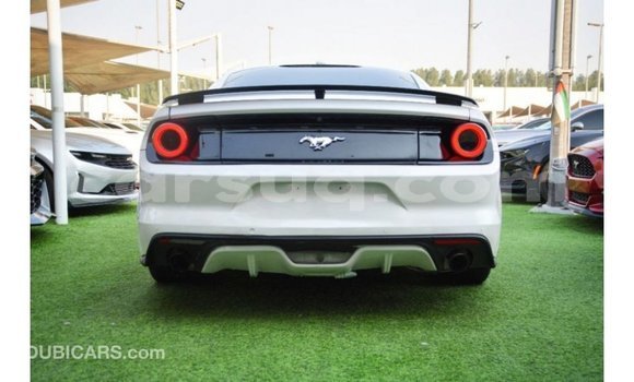 Acheter Import Voiture Ford Mustang Blanc à Import - Dubai, Barh el Gazel Acheter Import Voiture Ford Mustang Blanc à Import - Dubai, Barh el Gazel