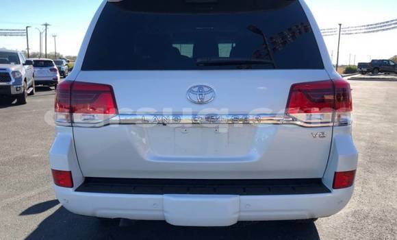 Acheter Occasion Voiture Toyota Land Cruiser Blanc à N'Djamena, Chari-Baguirmi Acheter Occasion Voiture Toyota Land Cruiser Blanc à N'Djamena, Chari-Baguirmi