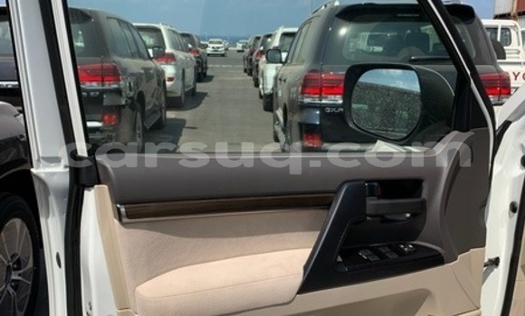 Acheter Neuf Voiture Toyota Land Cruiser Blanc à Import - Dubai, Barh el Gazel Acheter Neuf Voiture Toyota Land Cruiser Blanc à Import - Dubai, Barh el Gazel