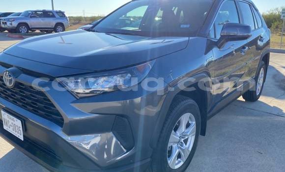 Acheter Import Voiture Toyota RAV4 Gris à N'Djamena, Chari-Baguirmi