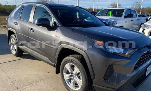 Acheter Import Voiture Toyota RAV4 Gris à N'Djamena, Chari-Baguirmi Acheter Import Voiture Toyota RAV4 Gris à N'Djamena, Chari-Baguirmi