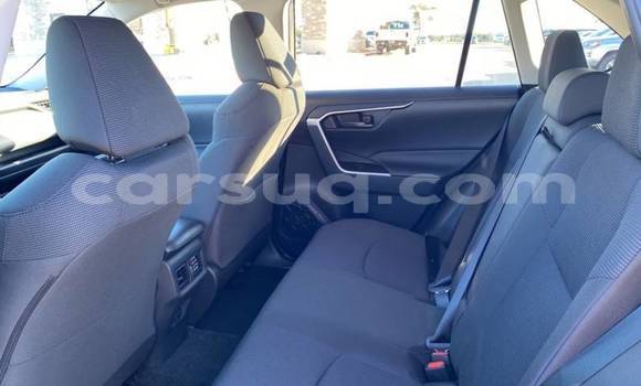 Acheter Import Voiture Toyota RAV4 Gris à N'Djamena, Chari-Baguirmi Acheter Import Voiture Toyota RAV4 Gris à N'Djamena, Chari-Baguirmi