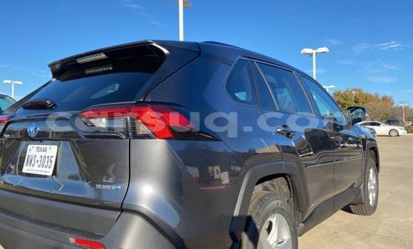 Acheter Import Voiture Toyota RAV4 Gris à N'Djamena, Chari-Baguirmi Acheter Import Voiture Toyota RAV4 Gris à N'Djamena, Chari-Baguirmi