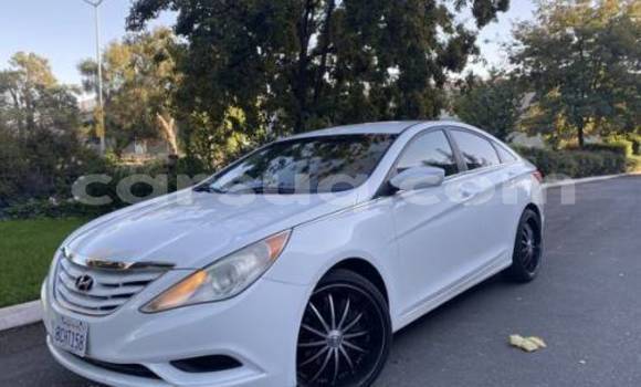 Acheter Import Voiture Hyundai Sonata Blanc à Faya, Bourkou-Ennedi-Tibesti
