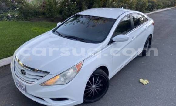 Acheter Import Voiture Hyundai Sonata Blanc à Faya, Bourkou-Ennedi-Tibesti Acheter Import Voiture Hyundai Sonata Blanc à Faya, Bourkou-Ennedi-Tibesti
