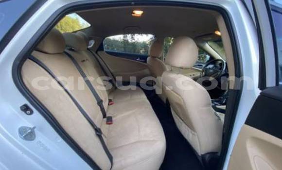 Acheter Import Voiture Hyundai Sonata Blanc à Faya, Bourkou-Ennedi-Tibesti Acheter Import Voiture Hyundai Sonata Blanc à Faya, Bourkou-Ennedi-Tibesti