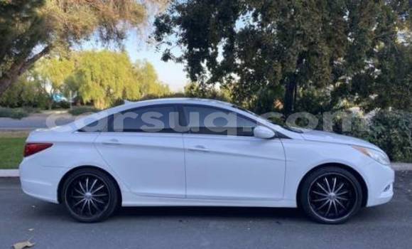 Acheter Import Voiture Hyundai Sonata Blanc à Faya, Bourkou-Ennedi-Tibesti Acheter Import Voiture Hyundai Sonata Blanc à Faya, Bourkou-Ennedi-Tibesti