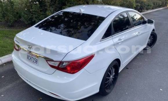 Acheter Import Voiture Hyundai Sonata Blanc à Faya, Bourkou-Ennedi-Tibesti Acheter Import Voiture Hyundai Sonata Blanc à Faya, Bourkou-Ennedi-Tibesti