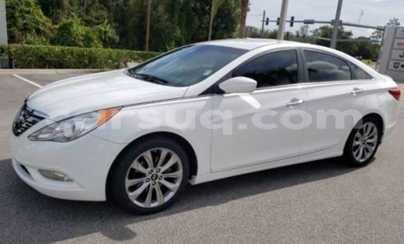 Acheter Import Voiture Hyundai Sonata Blanc à N'Djamena, Chari-Baguirmi Acheter Import Voiture Hyundai Sonata Blanc à N'Djamena, Chari-Baguirmi