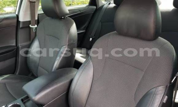 Acheter Import Voiture Hyundai Sonata Blanc à N'Djamena, Chari-Baguirmi Acheter Import Voiture Hyundai Sonata Blanc à N'Djamena, Chari-Baguirmi