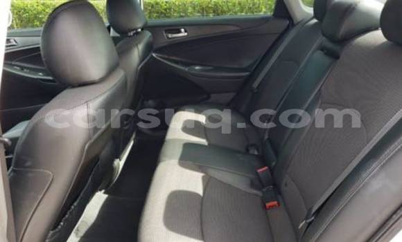 Acheter Import Voiture Hyundai Sonata Blanc à N'Djamena, Chari-Baguirmi Acheter Import Voiture Hyundai Sonata Blanc à N'Djamena, Chari-Baguirmi