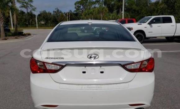 Acheter Import Voiture Hyundai Sonata Blanc à N'Djamena, Chari-Baguirmi Acheter Import Voiture Hyundai Sonata Blanc à N'Djamena, Chari-Baguirmi