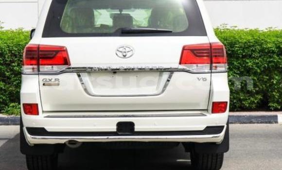 Acheter Occasion Voiture Toyota Land Cruiser Blanc à Abou Deia, Salamat Acheter Occasion Voiture Toyota Land Cruiser Blanc à Abou Deia, Salamat
