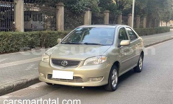 Acheter Import Voiture Toyota Vios Gris à N'Djamena, Chari-Baguirmi