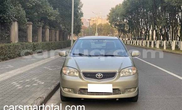 Acheter Import Voiture Toyota Vios Gris à N'Djamena, Chari-Baguirmi Acheter Import Voiture Toyota Vios Gris à N'Djamena, Chari-Baguirmi