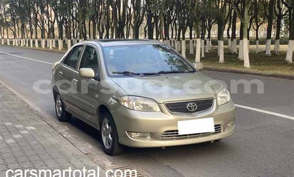 Acheter Import Voiture Toyota Vios Gris à N'Djamena, Chari-Baguirmi Acheter Import Voiture Toyota Vios Gris à N'Djamena, Chari-Baguirmi