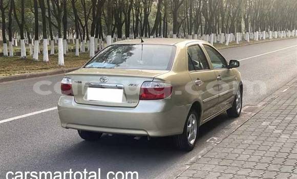 Acheter Import Voiture Toyota Vios Gris à N'Djamena, Chari-Baguirmi Acheter Import Voiture Toyota Vios Gris à N'Djamena, Chari-Baguirmi