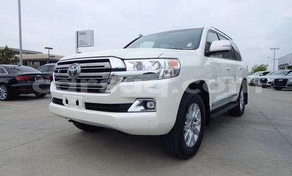 Acheter Occasion Voiture Toyota Land Cruiser Blanc à Am Timan, Salamat Region Acheter Occasion Voiture Toyota Land Cruiser Blanc à Am Timan, Salamat Region