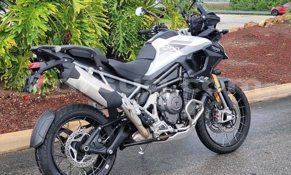 Buy Used Triumph Tiger Black Bike in Ati in Batha Region Buy Used Triumph Tiger Black Bike in Ati in Batha Region