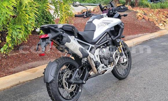 Buy Used Triumph Tiger Black Bike in Ati in Batha Region Buy Used Triumph Tiger Black Bike in Ati in Batha Region