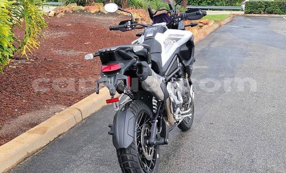 Buy Used Triumph Tiger Black Bike in Ati in Batha Region Buy Used Triumph Tiger Black Bike in Ati in Batha Region