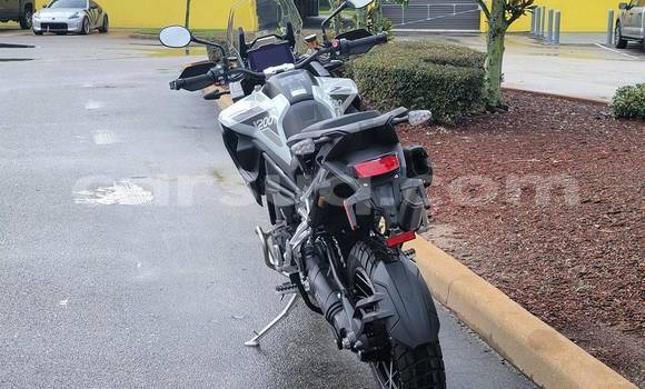 Buy Used Triumph Tiger Black Bike in Ati in Batha Region Buy Used Triumph Tiger Black Bike in Ati in Batha Region