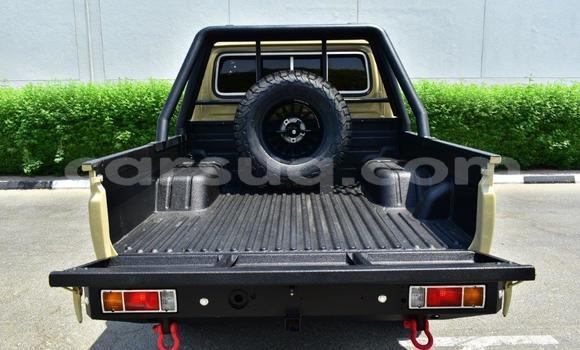 Acheter Occasion Voiture Toyota Land Cruiser Autre à Bardaï, Tibesti Region Acheter Occasion Voiture Toyota Land Cruiser Autre à Bardaï, Tibesti Region