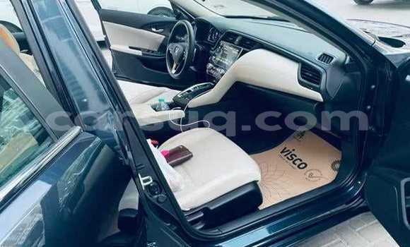 Acheter Occasion Voiture Honda Insight Noir à Abou Deia, Salamat Acheter Occasion Voiture Honda Insight Noir à Abou Deia, Salamat