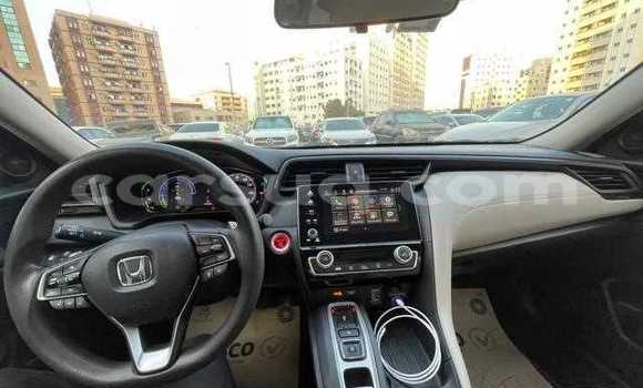 Acheter Occasion Voiture Honda Insight Noir à Abou Deia, Salamat Acheter Occasion Voiture Honda Insight Noir à Abou Deia, Salamat