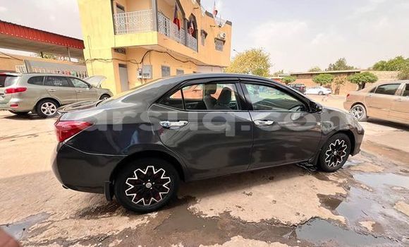 Acheter Occasion Voiture Toyota Corolla Autre à N'Djamena, Chari-Baguirmi Acheter Occasion Voiture Toyota Corolla Autre à N'Djamena, Chari-Baguirmi