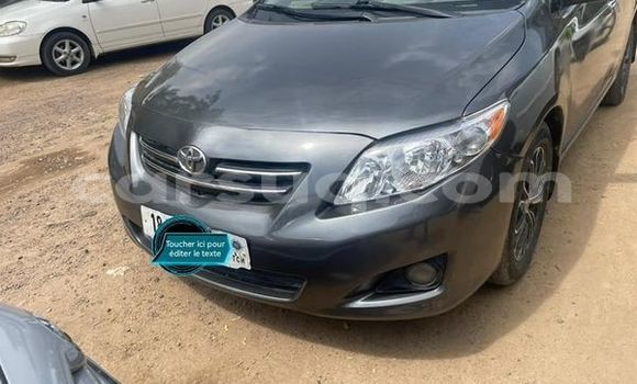 Acheter Occasion Voiture Toyota Corolla Autre à N'Djamena, Chari-Baguirmi Acheter Occasion Voiture Toyota Corolla Autre à N'Djamena, Chari-Baguirmi