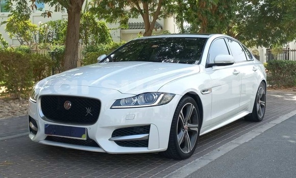 Acheter Occasion Voiture Jaguar XF Blanc à N'Djamena, Chari-Baguirmi