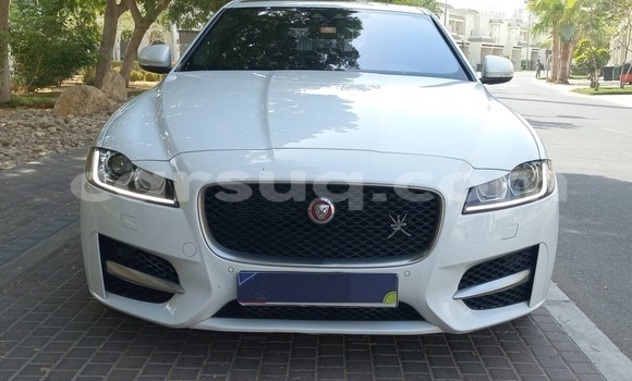 Acheter Occasion Voiture Jaguar XF Blanc à N'Djamena, Chari-Baguirmi Acheter Occasion Voiture Jaguar XF Blanc à N'Djamena, Chari-Baguirmi