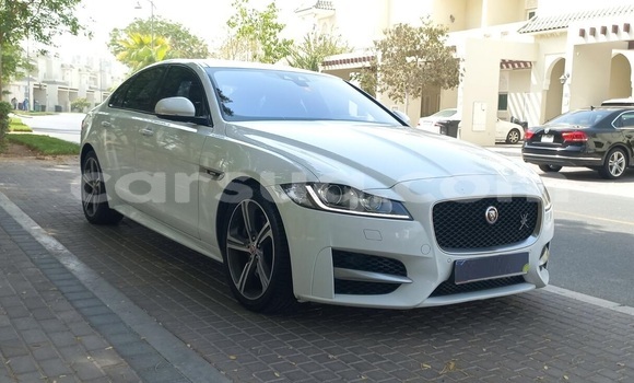 Acheter Occasion Voiture Jaguar XF Blanc à N'Djamena, Chari-Baguirmi Acheter Occasion Voiture Jaguar XF Blanc à N'Djamena, Chari-Baguirmi