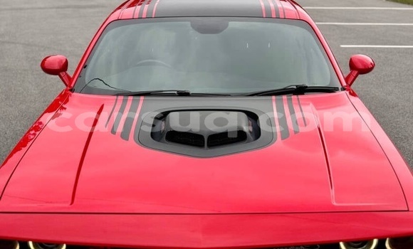 Acheter Occasion Voiture Dodge Challenger Rouge à N'Djamena, Chari-Baguirmi Acheter Occasion Voiture Dodge Challenger Rouge à N'Djamena, Chari-Baguirmi