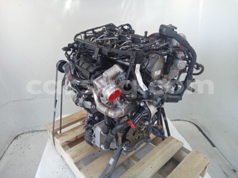 Big with watermark s l960d