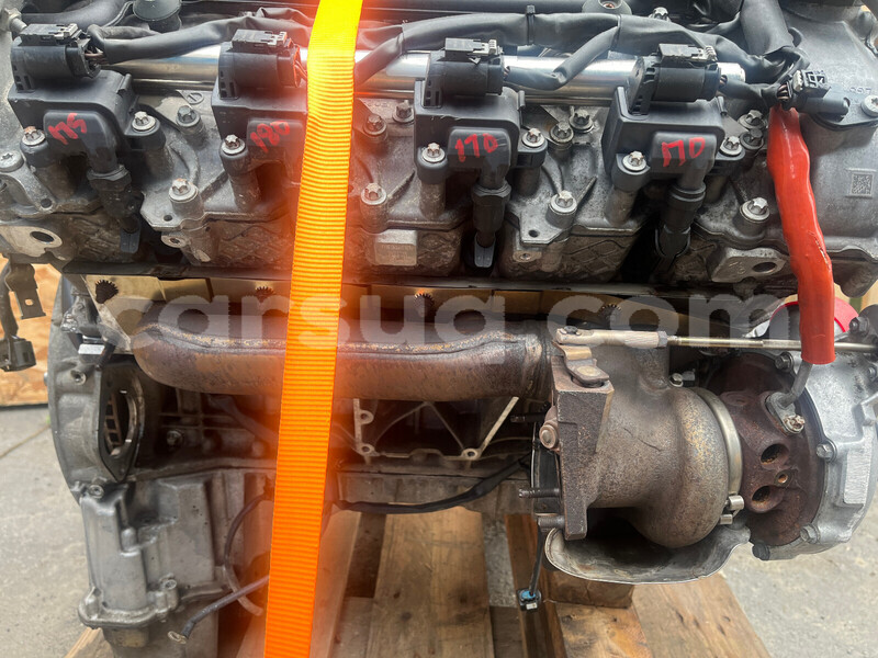 Big with watermark h