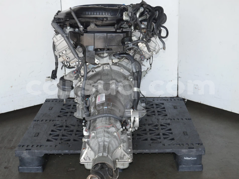 Big with watermark image g