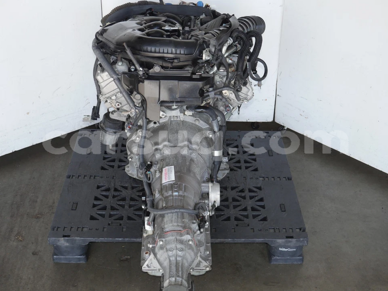 Big with watermark image h