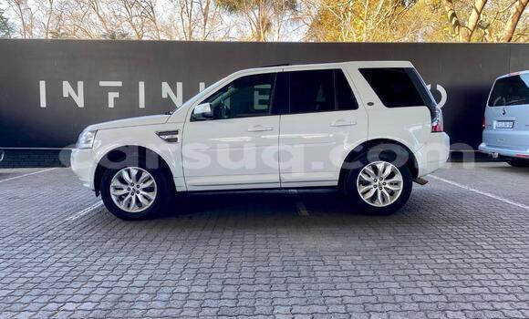 Acheter Occasion Voiture Land Rover Freelander Blanc à N'Djamena, Chari-Baguirmi Acheter Occasion Voiture Land Rover Freelander Blanc à N'Djamena, Chari-Baguirmi