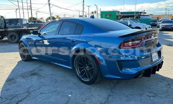 Buy Used Dodge Charger Blue Car in N'Djamena in Chari-Baguirmi Buy Used Dodge Charger Blue Car in N'Djamena in Chari-Baguirmi